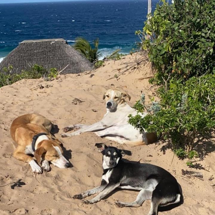 Mar-Me-Quer, Eco Beach Retreat イニャンバネ エクステリア 写真