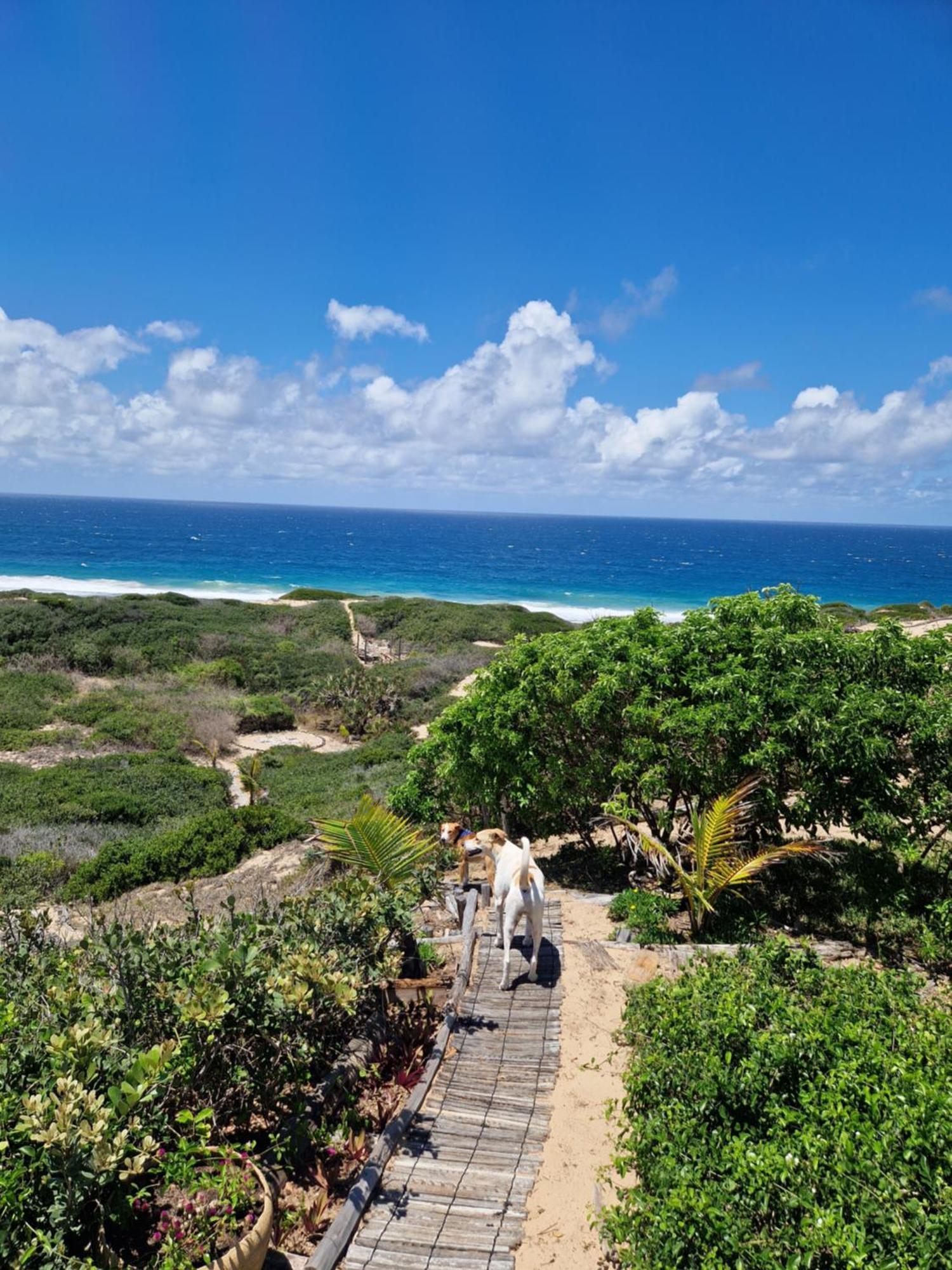 Mar-Me-Quer, Eco Beach Retreat イニャンバネ エクステリア 写真