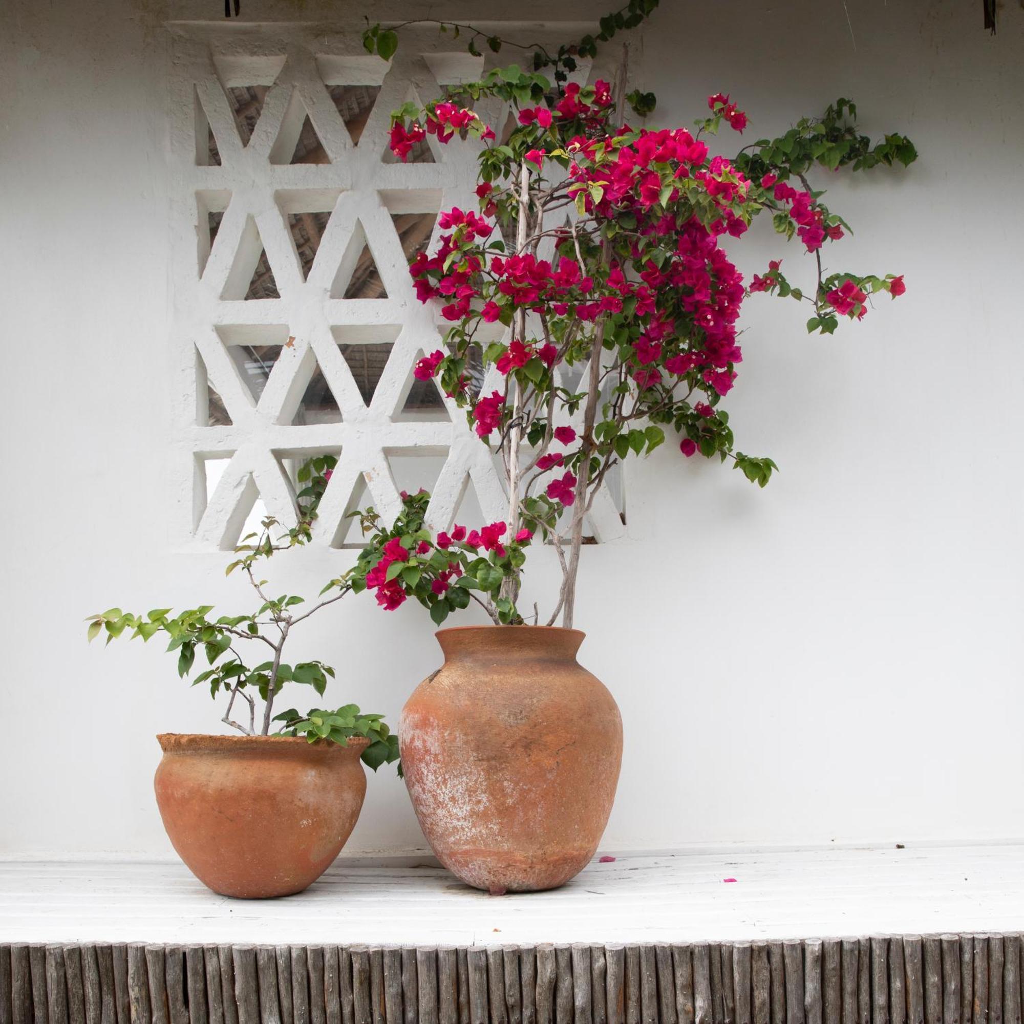Mar-Me-Quer, Eco Beach Retreat イニャンバネ エクステリア 写真